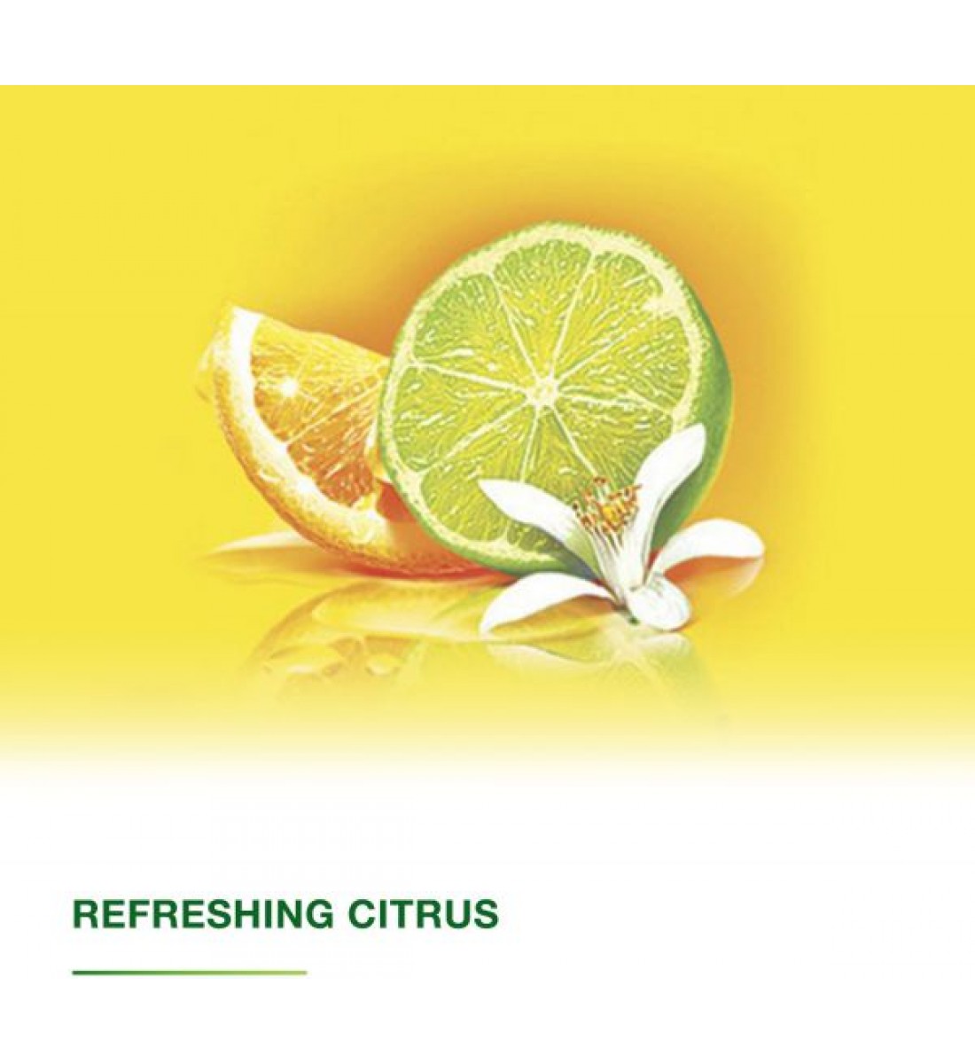 ديتول فريش - غسول للجسم سائل ، 250 مل مع نفخة